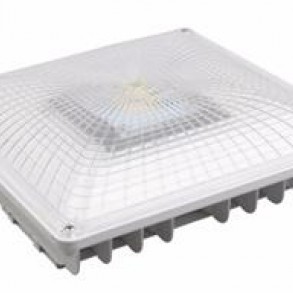 Canopy Garage Light 35 Watts 5000K
